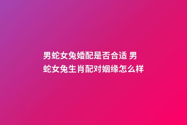 男蛇女兔婚配是否合适 男蛇女兔生肖配对姻缘怎么样-第1张-观点-玄机派